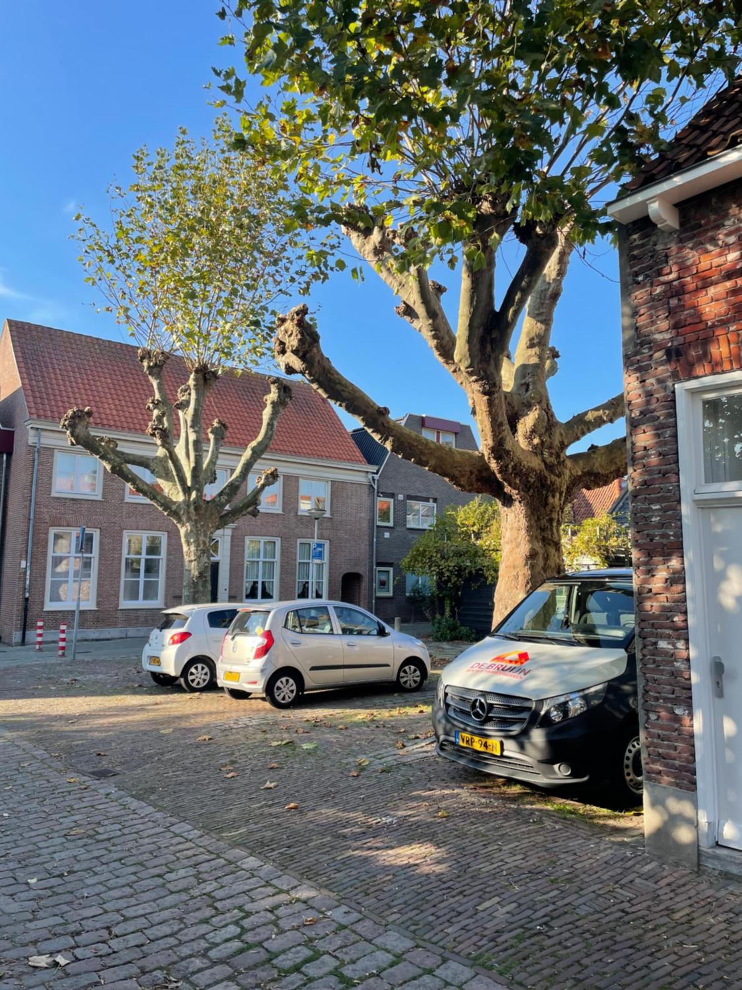 Slapen Op 11 Lejlighed Bergen op Zoom Eksteriør billede